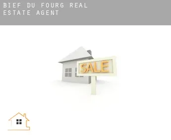 Bief-du-Fourg real estate agent