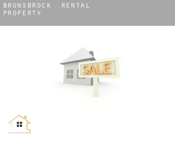 Brunsbrock  rental property