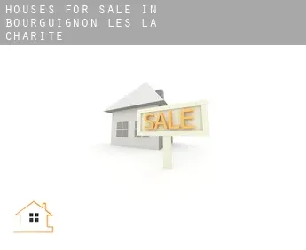 Houses for sale in  Bourguignon-lès-la-Charité