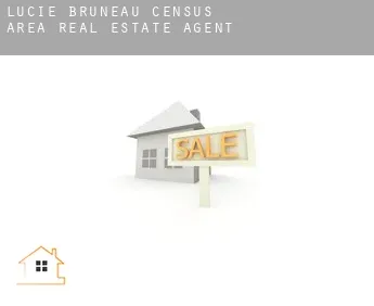 Lucie-Bruneau (census area)  real estate agent