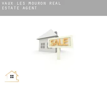 Vaux-lès-Mouron  real estate agent