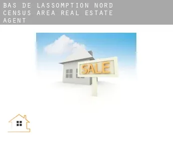 Bas-de-L'Assomption-Nord (census area)  real estate agent