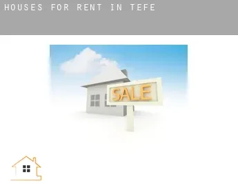 Houses for rent in  Tefé