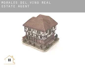 Morales del Vino  real estate agent