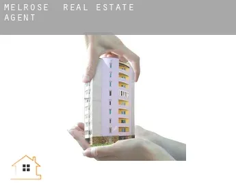 Melrose  real estate agent