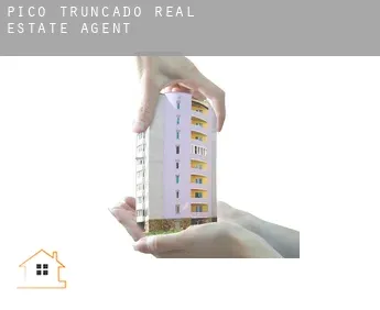 Pico Truncado  real estate agent