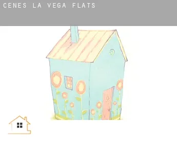 Cenes de la Vega  flats