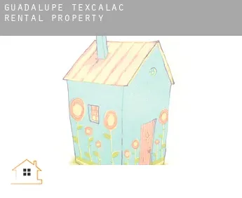 Guadalupe Texcalac  rental property