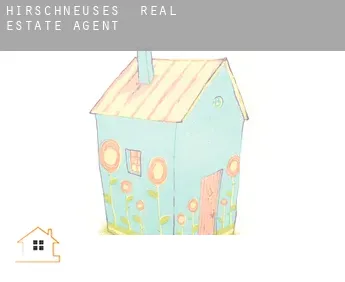 Hirschneuses  real estate agent