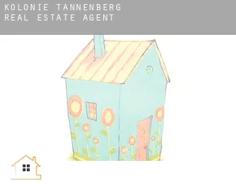 Kolonie Tannenberg  real estate agent
