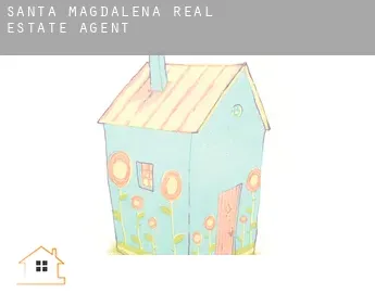 Santa Magdalena  real estate agent