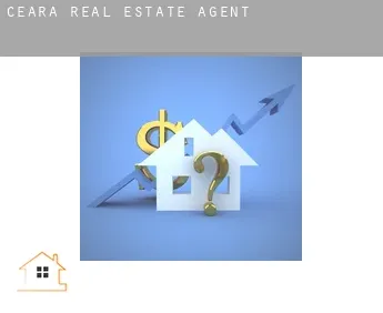 Ceará  real estate agent
