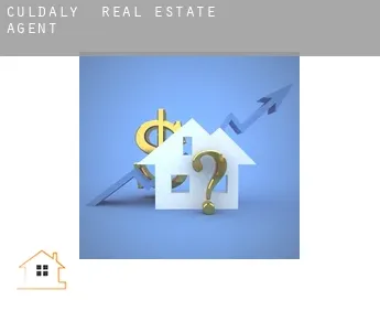 Culdaly  real estate agent