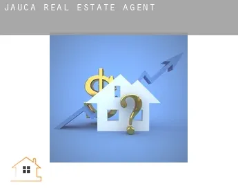 Jauca real estate agent