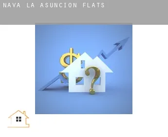 Nava de la Asunción flats