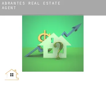 Abrantes  real estate agent