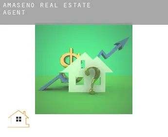 Amaseno  real estate agent