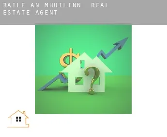 Baile an Mhuilinn  real estate agent