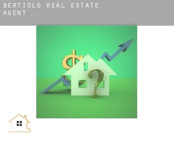 Bertiolo  real estate agent