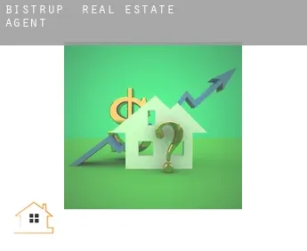 Bistrup  real estate agent