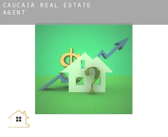 Caucaia  real estate agent