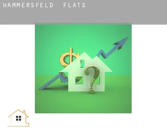 Hammersfeld  flats