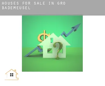 Houses for sale in  Groß Bademeusel