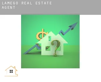 Lamego  real estate agent