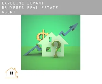 Laveline-devant-Bruyères  real estate agent