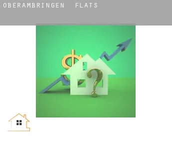 Oberambringen  flats
