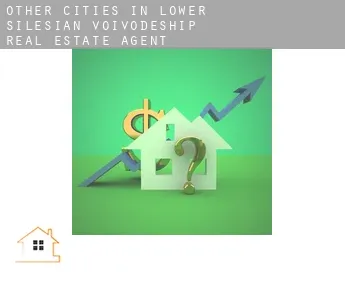 Other cities in Lower Silesian Voivodeship  real estate agent
