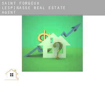 Saint-Forgeux-Lespinasse  real estate agent