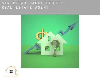 San Pedro Sacatepéquez  real estate agent