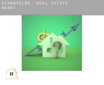 Schönfelde  real estate agent