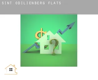 Sint Odiliënberg  flats