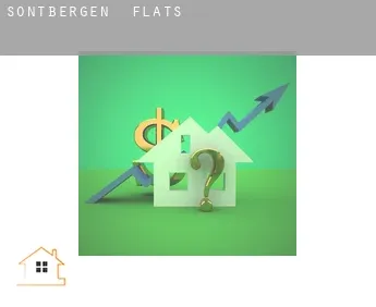 Sontbergen  flats