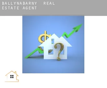 Ballynabarny  real estate agent