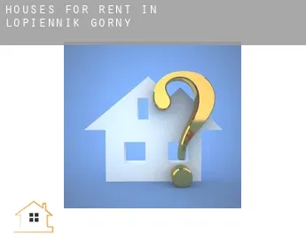 Houses for rent in  Łopiennik Górny