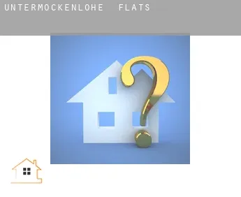Untermöckenlohe  flats