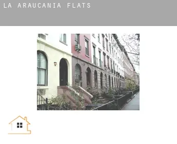 Araucanía  flats