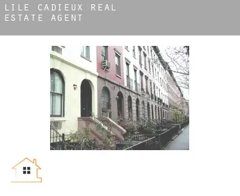 L'Île-Cadieux  real estate agent