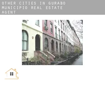 Other cities in Gurabo Municipio  real estate agent