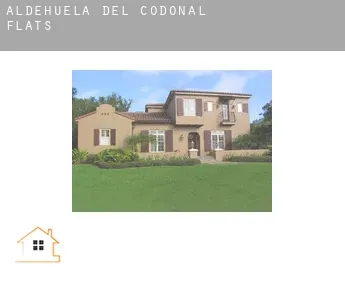 Aldehuela del Codonal flats