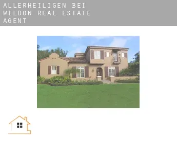 Allerheiligen bei Wildon  real estate agent