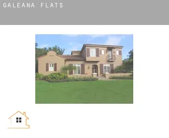 Galeana  flats