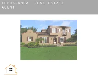 Kopuaranga real estate agent