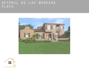 Setenil de las Bodegas  flats