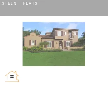 Stein  flats