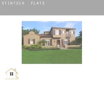 Stinteck  flats