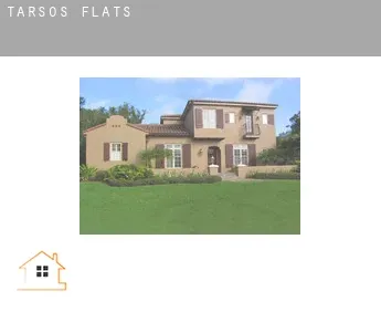 Tarsus  flats